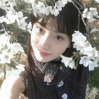 疯狂的摄像机